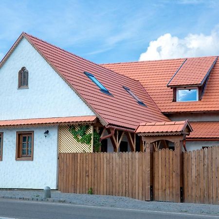Pepi Vendeghaz - Casa De Oaspeti Pepi Joseni  Exteriör bild
